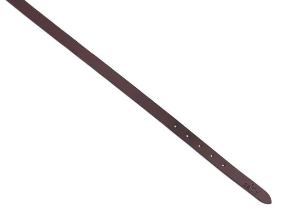 Premium Brown belt with golden buckle - Image 2